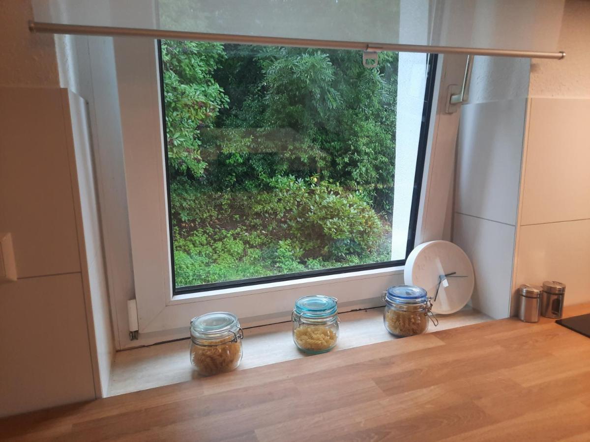 Precioso apartamento, aparcamiento gratis Augustusburg Exterior foto